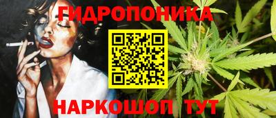 стафф Моздок