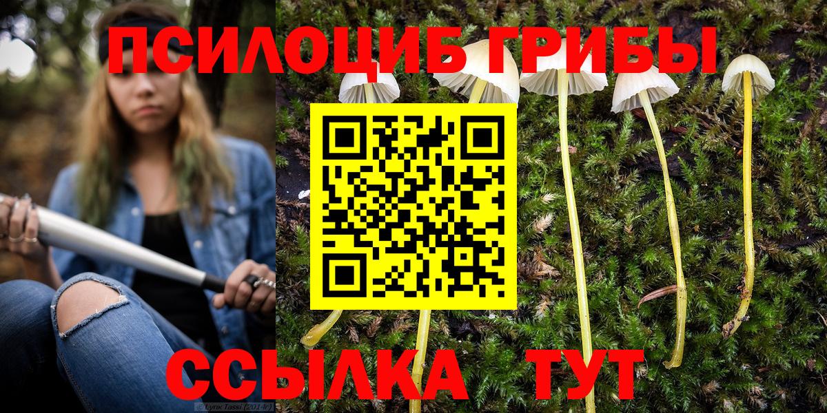 APVP СК кристаллы  Вход с VPN  Мефедрон   Пушкино  Cocaine  ГАШИШ  ЭКСТАЗИ 