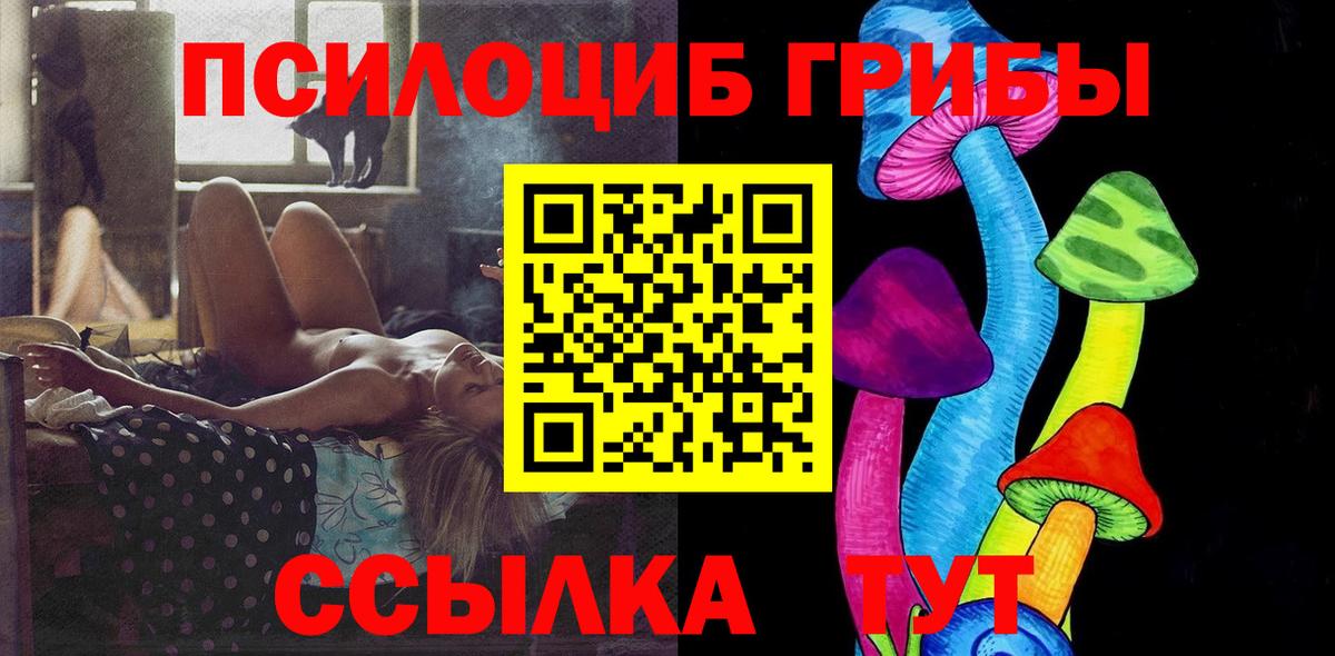 Пушкино  Псилоцибиновые грибы Psilocybe  наркотики  Вход с VPN 